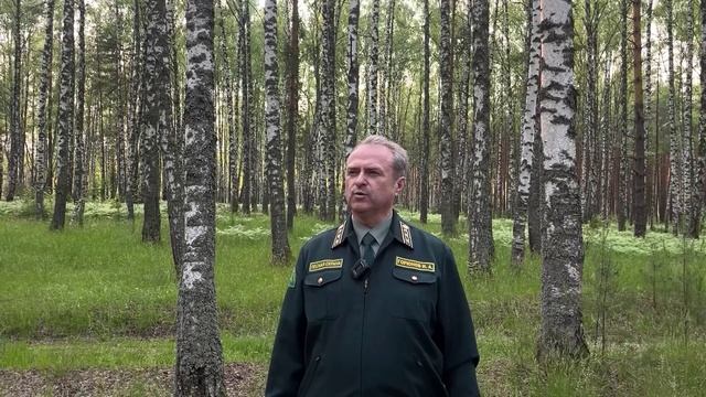 Руководитель Павловского лесничества Игорь Горюнов