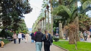 Стоит ли ехать в Сочи на Новый год-2026?Главная новогодняя ёлка в Сочи! 🎄Зимний Сочи. Навагинская