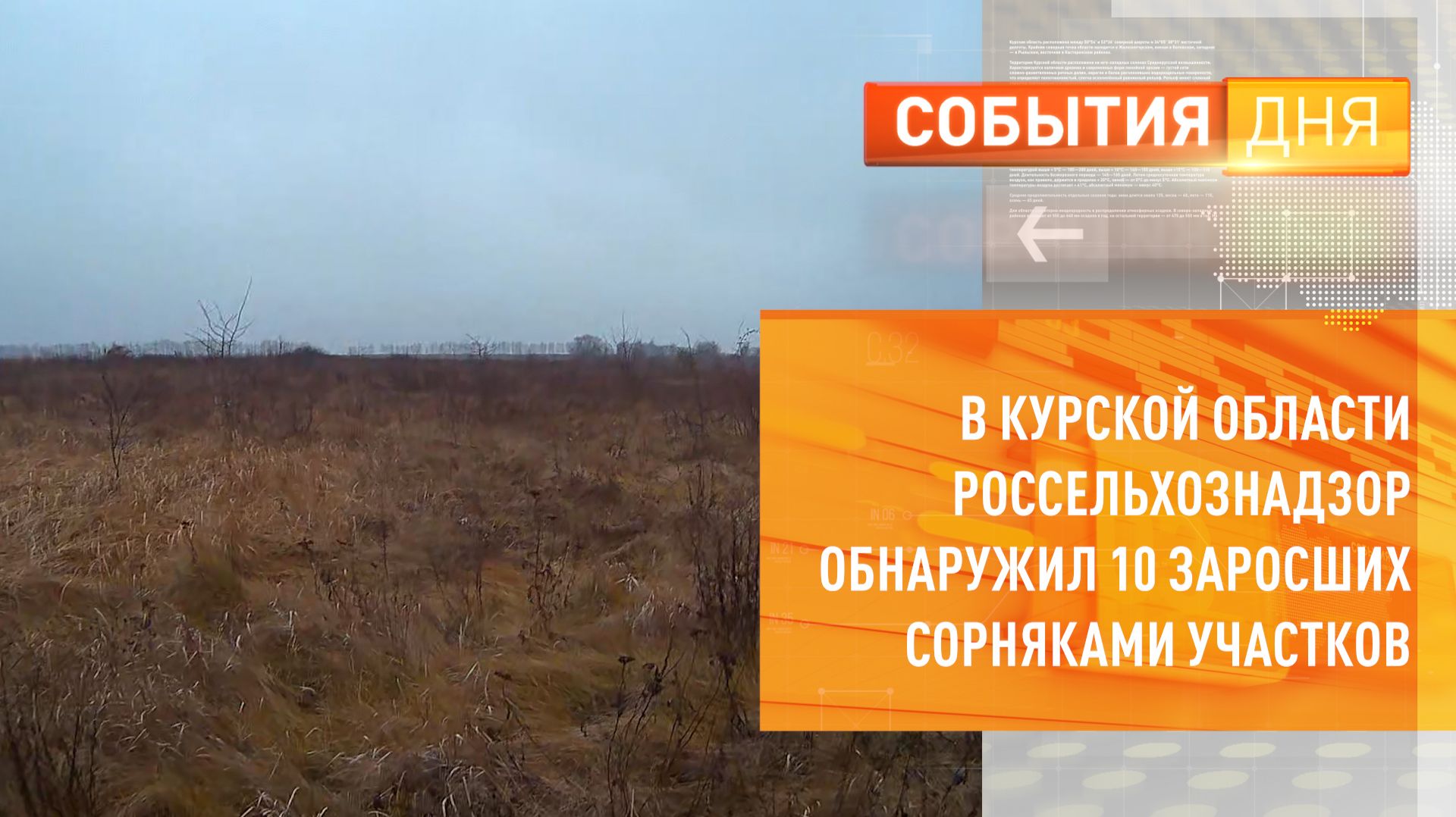 В Курской области Россельхознадзор обнаружил 10 заросших сорняками участков смотреть онлайн