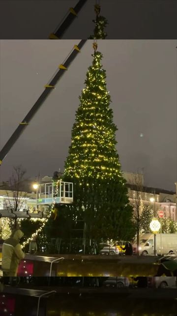 Если вам было интересно, как украшают большие ёлки