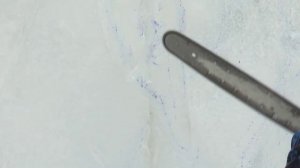 Прямой эфир программы «Открытый разговор»