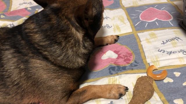 Ишь разбаловался