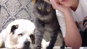 Болталка с Розочкой ♥️ Домашняя рутина 💪