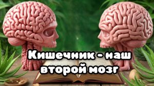 "Многофункциональность продукции LR и работа кишечника" Нутрициолог  Мила Сорокина ЛО