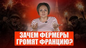 Фермерский бунт, забастовка в Лувре, разлад Франции и США