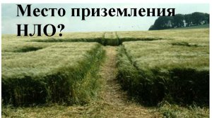 Первый круг на поле. 5