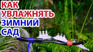 Как поддерживать влажность в зимнем саду