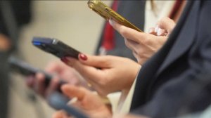 Смартфоны в России добавят в единую базу в 2026 году