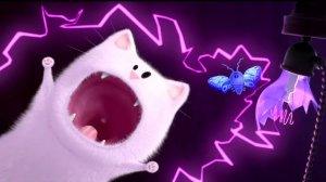 Кот и мотылёк (красивый котик выхватывает)