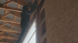 #336 Cheap & Easy DIY Shop Door 6.11.2025