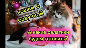 Кошки с озвучкой. Новогодние котики.