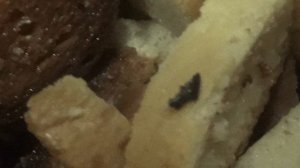 Готовлю  еду  для животных       ПОДПИШИСЬ