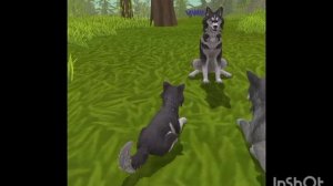 Мини фильм Wildcraft "Дух" 7 серия