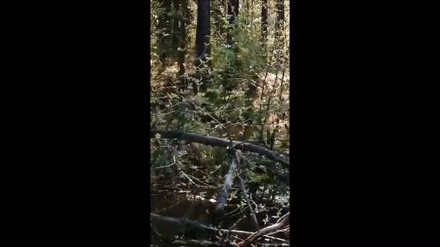 Устье М. Куды. смотреть онлайн