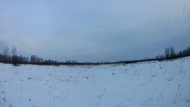 Проверка капканов 18 12 2020 года смотреть онлайн