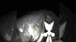 Femtanyl - ACT RIGHT (revert - slowed)