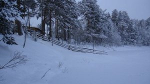 видеоклип  ОХОТА В СУРГУТСКОМ РАЙОНЕ1 (нов)