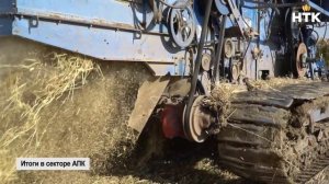 В правительстве обсудили итоги развития сектора АПК и ход начавшейся зимовки скота