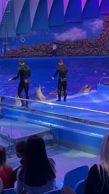 Океанариум на острове Русский, Приморье/Oceanarium on Russky Island, Primorye, 2020, part 7