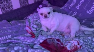 Всем наидобрейшего, субботнего утречка.