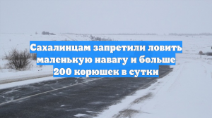 Сахалинцам запретили ловить маленькую навагу и больше 200 корюшек в сутки