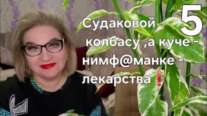 Судаковой колбасу ,а куче - нимф@манке лекарства❗️