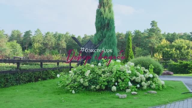 Бэкстейдж для декораторов смотреть онлайн