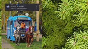 Николаев 19 декабря 2025 года (новости)