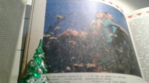 Песня в день рождения. (50 лет)