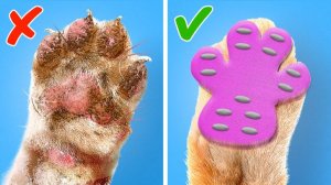 Милые хитрости и гаджеты для пушистых друзей 🐾💖