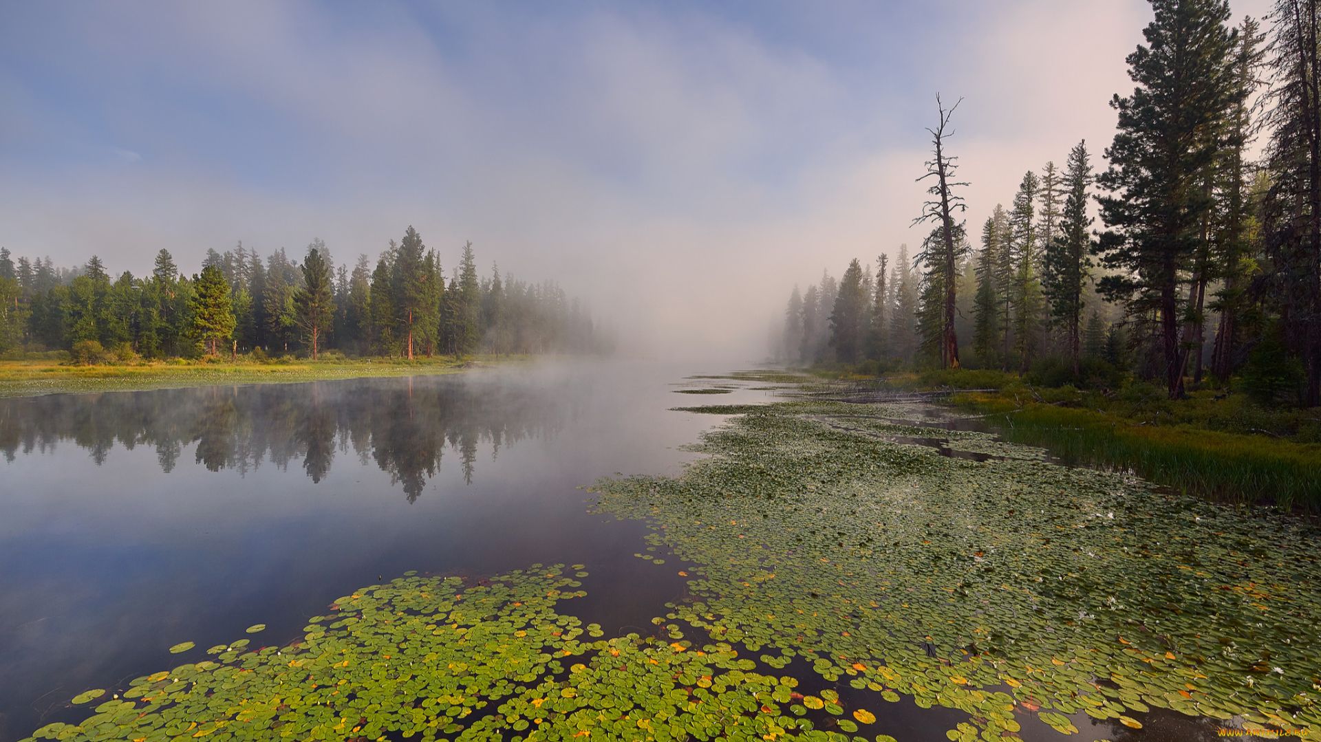 MUDRUNNER: карта ВБЛИЗИ БОЛОТА ( автор С. Киличенко ) 4К смотреть онлайн