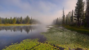 MUDRUNNER: карта ВБЛИЗИ БОЛОТА ( автор С. Киличенко ) 4К