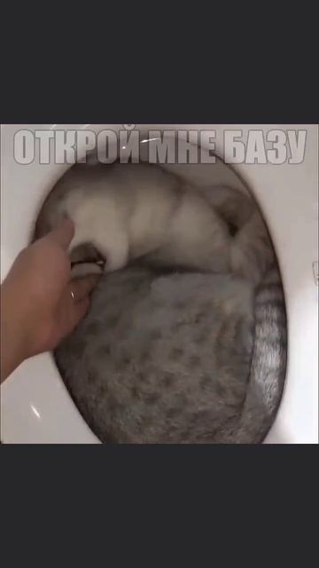 ОТКРОЙ БАЗУ И ВЕРНИ МНЕ...