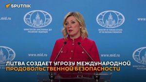 Захарова назвала позицию Литвы по белорусскому калию безрассудной