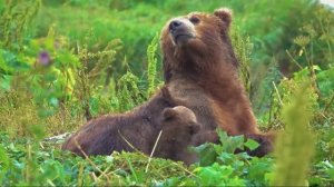 МУЗЫКА, ТРОГАЮЩАЯ ДО ГЛУБИНЫ ДУШИ: ТОНКАЯ, ПРОНИКНОВЕННАЯ, ВОЛНУЮЩАЯ