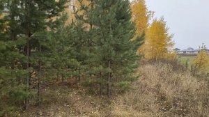 Враг народа. Уезжайте! Молчали. Глазами немцев. Мы уехали. Из Германии в Россию