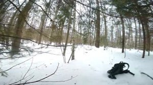 ловили куницу, А ПОЙМАЛИ...Проходной капкан на куницу. как поймать куницу, горностай в капкане