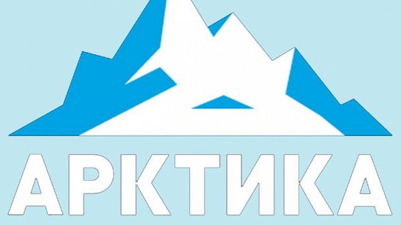 Стихотворение Арктика