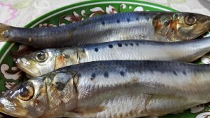 САМАЯ ВКУСНАЯ ИВАСИ