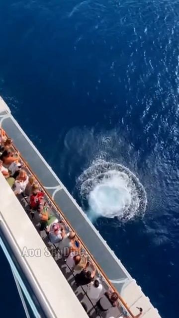 Прыжок с круизного лайнера