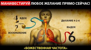 Перепрограммируй Свою Реальность За 3 Минуты (Дыхание «Поля Манифестации») | Кодекс Энергии