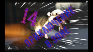 Приключение в Зоне 14 - Стулкер