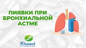 Пиявки при бронхиальной астме