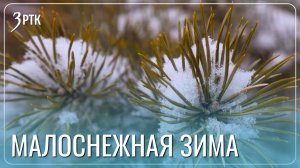 Забайкальцев ждёт снежная Новогодняя ночь