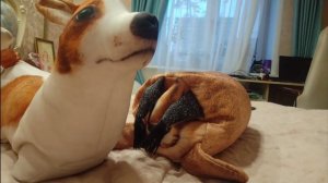 смешные сборники блоп топ как бы 
2 сезон 3 серия