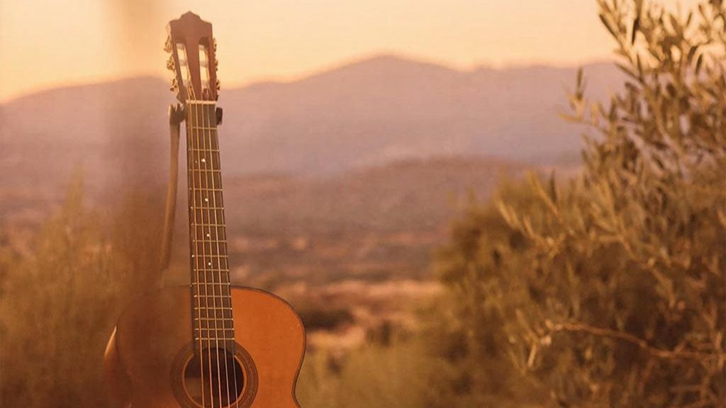 Испанская гитара №6