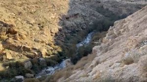 Лавра Саввы Освященного.mp4