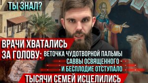 ❗️Врачи хватались за голову: Веточка чудотворной пальмы Саввы Освященного — и бесплодие отступало