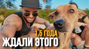 Гоа, мы дома! Поехали по любимым местам