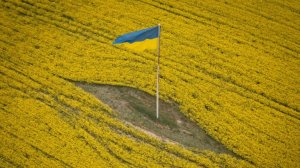 AP: Украине грозит банкротство